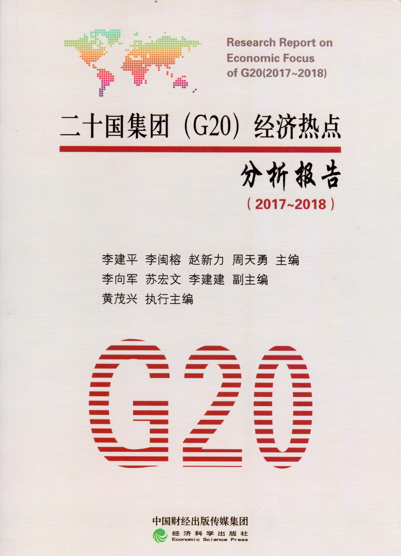 让我来操这个丰满的肥逼二十国集团（G20）经济热点分析报告（2017-2018）