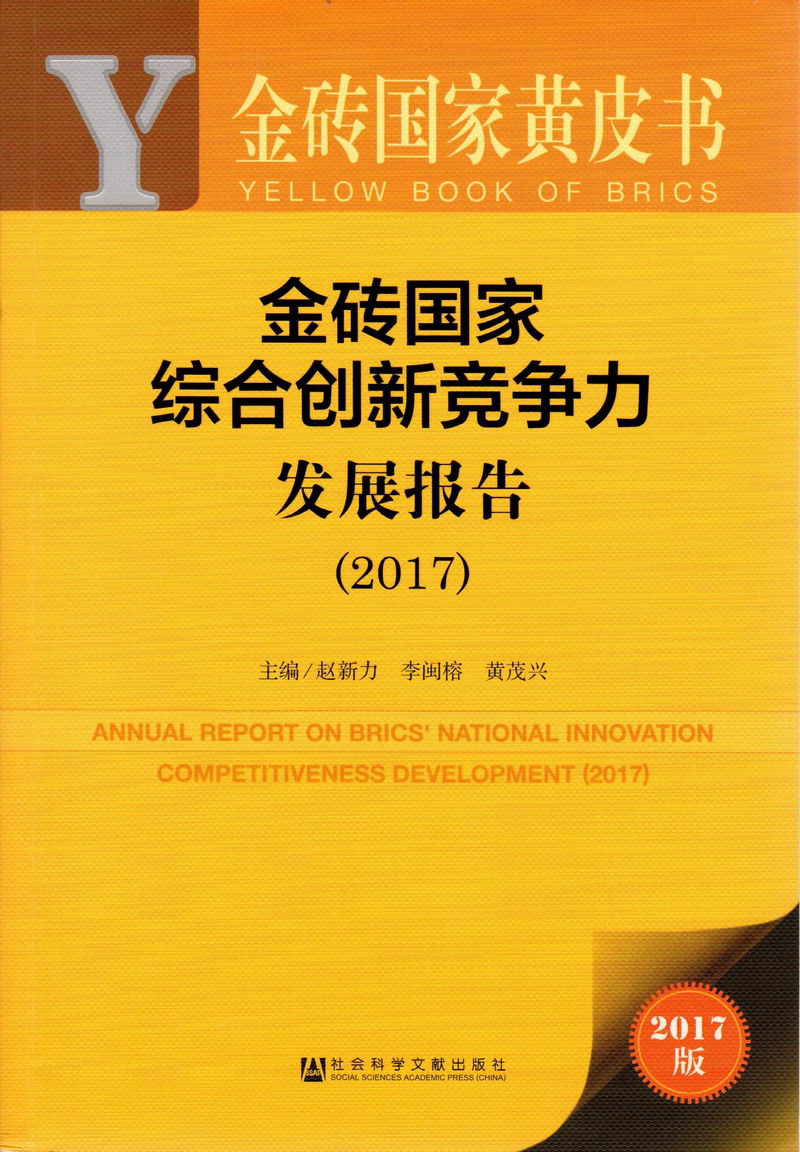 yy6080久久伦理一区二区金砖国家综合创新竞争力发展报告（2017）